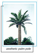 aesthetic palm pole